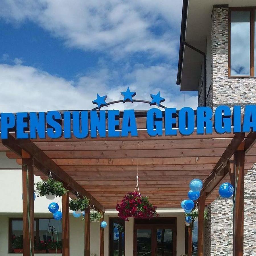 Pensiunea Georgia Lunguleţul Zewnętrze zdjęcie